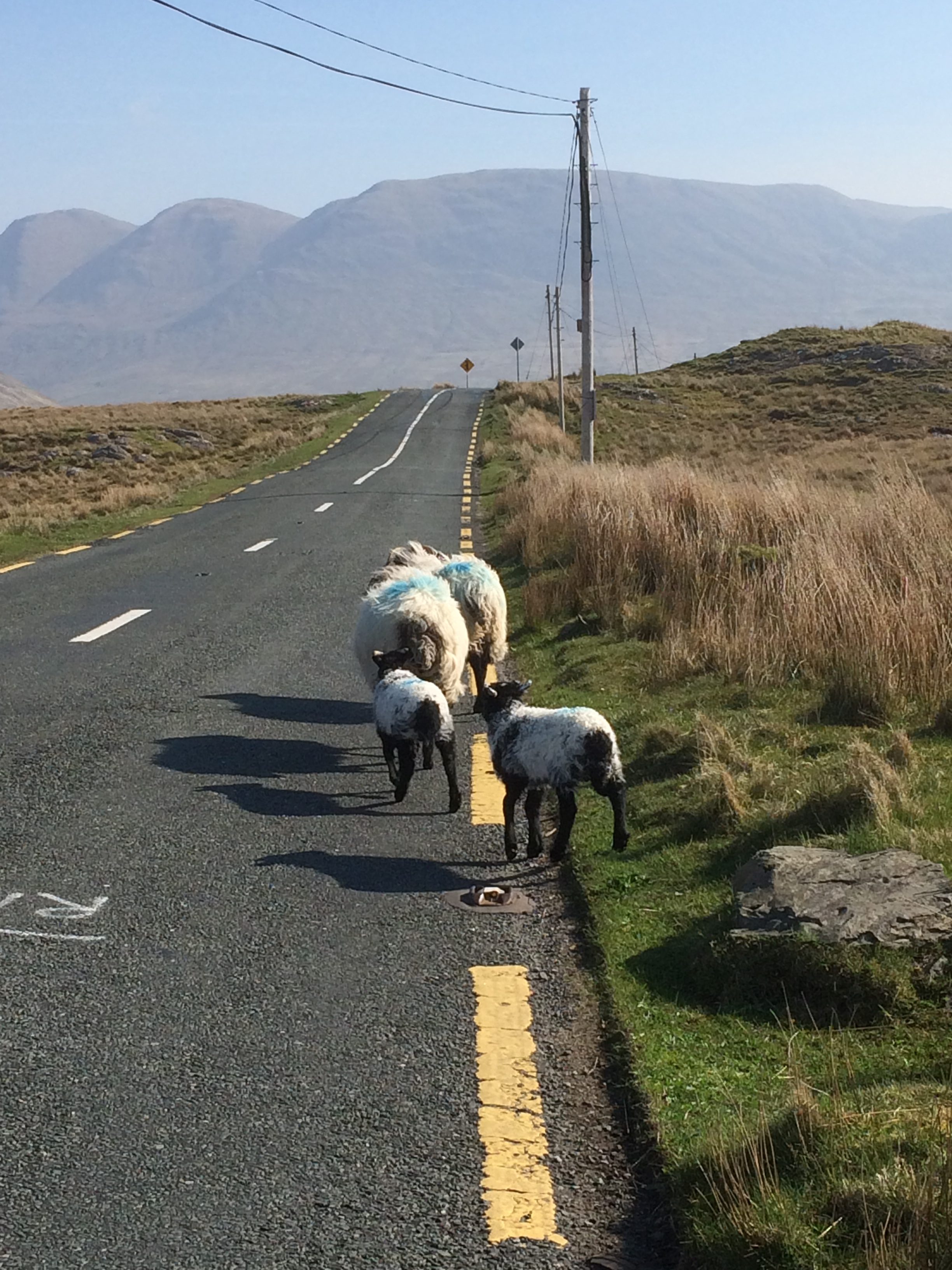 5 conseils pour voyager sereinement : préparez votre voyage l'esprit libre